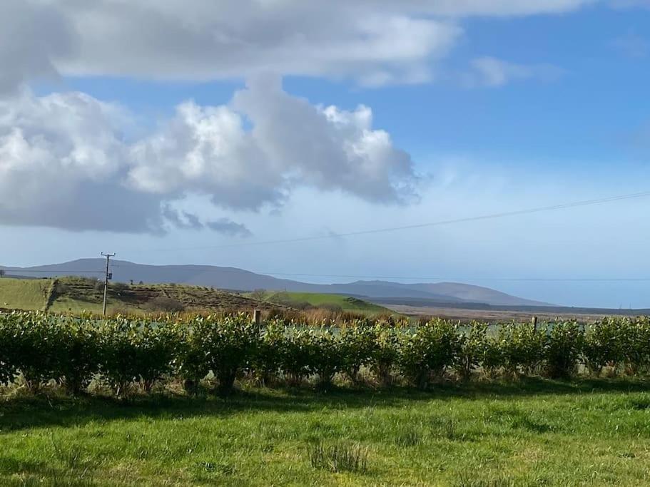 Mullagh  Country Cabin מראה חיצוני תמונה